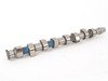 ES#2834686 - 038109101KKT - Camshaft Kit - Includes camshaft, lifters, and camshaft seal - AMC - Volkswagen