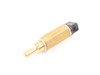 ES#212961 - 13621362599 - Temperature Sensor - Replace your failed coolant temperature sensor - Genuine BMW - BMW