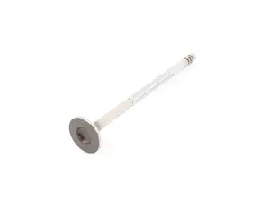 Exhaust Valve - Priced Each