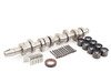 ES#2986373 - 038109101AHKT2 - Camshaft Service Kit - complete - A worn camshaft must be replaced to restore proper engine operation - Assembled By ECS - Volkswagen