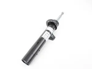 Front Strut Assembly - Right
