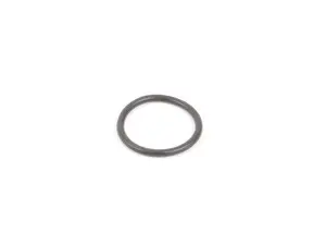 Sealing O-Ring - Priced Each
