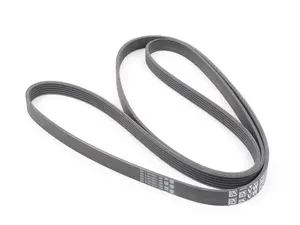 Accessory drive belt - Alternator