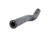 ES#24915 - 11531721846 - Coolant hose - Connects cylinder head to throttle body - Genuine BMW - BMW
