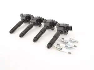 Ignition Service Kit