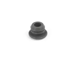 Blind Plug