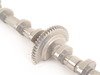 ES#23312 - 11377515868 - Intake Camshaft/Eccentric Shaft - Can become damaged when the sensor fails - Genuine BMW - BMW