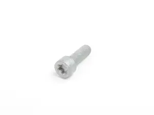 Torx Bolt - Priced Each