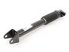 ES#2745488 - 1663201730 - Rear Shock Absorber - Priced Each - Rear Axle, Fits left or right side - Genuine Mercedes Benz - Mercedes Benz