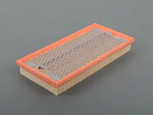 Air Filter Element - Priced Each