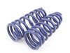 ES#1303247 - 29286-2 - Sport Spring Set - Front lowering: 1.6", rear lowering: 1.6" - H&R - Porsche
