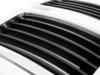 ES#77447 - 51131900007 - GRILL CENTER - Genuine BMW - BMW