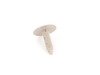 ES#117198 - 51457035054 - CLAMP - Genuine BMW - BMW