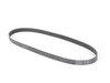 ES#1651 - 7pk-1290 - Accessory Belt - Ribbed rubber belt for driving engine accessory components - 1290mm length - Continental - Volkswagen
