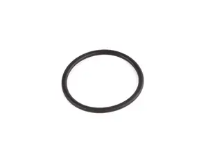 Water Pump O-Ring