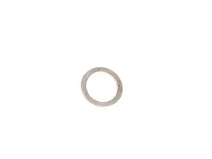 Sealing Ring - Priced Each