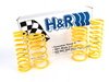ES#1303348 - 29656 - Sport Spring Set - Vehicles After 9/1/88, w/o self-leveling - H&R - BMW