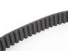 ES#2549828 - 96414718703 - Poly-Rib Accessory Belt - Priced Each - Toothed belt for power steering pump - Continental - Porsche