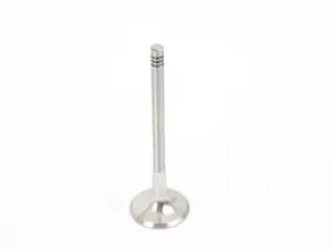 Exhaust Valve - Priced Each