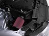 ES#2918521 - 004535ECS01 -  Luft-Technik Intake System - Audi B8 A4/A5 2.0T - Engineered for increased engine performance with show quality looks - ECS - Audi