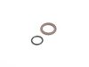 ES#1892456 - 11367831906 - VANOS Filter Change Kit - Level II - Includes the filter, necessary o-rings, and sealing flange for the VANOS solenoid - Genuine BMW - BMW