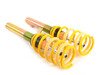 ES#3537286 - 13281046 - STX Coilover Kit - Improve handling by reducing the cars bodyroll during compression as well as improving agility when driving fast - Suspension Techniques - Volkswagen