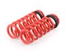 ES#2858603 - MRLSBF30 - Lowering Spring Kit - Get rid of that ugly wheel gap with these Megan Racing lowering springs with an avg. drop of (1.7") in the front, & (1.6") in the rear - Megan Racing - BMW