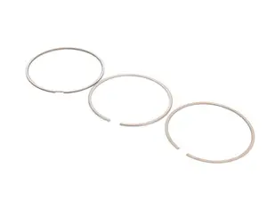 Piston Ring Set - Priced Each