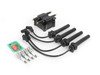 ES#2581719 - 12137510738ISK2 - Ignition Service Kit - Includes coil , wires, plugs and dielectric grease - Assembled By ECS - MINI