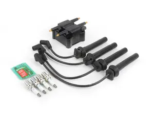 Ignition Service Kit