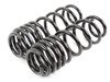 ES#2826016 - 55.70.07 - Sport Springs Set - Upgrade looks and handling with sport springs - Neuspeed - Audi Volkswagen