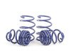 ES#1303577 - 50433 - E83 X3 Sport Spring Set - Mild lowering for the daily driver. - H&R - BMW
