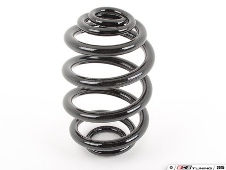 ES#2915125 - 33536756975 - E46 Rear Coil Spring - Replace your cracked springs - Mubea - BMW