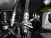 ES#3449511 - 024692ECS01 - Exact-Fit Stainless Steel Brake Lines - Rear - Rear set of DOT-compliant lines for an improved pedal feel - ECS - Audi Volkswagen