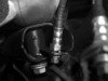 ES#3449511 - 024692ECS01 - Exact-Fit Stainless Steel Brake Lines - Rear - Rear set of DOT-compliant lines for an improved pedal feel - ECS - Audi Volkswagen