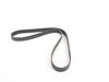 ES#2800682 - 11287628659 - Accessory drive belt  - Drives the alternator, water pump, and power steering pump - Continental - BMW
