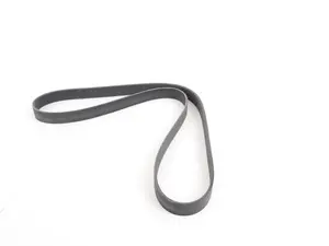 Accessory drive belt 