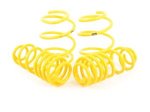 ES#2649695 - 65412 - Lowering Spring Set - Touring - Provides a more aggressive stance for improved looks and handling. Average lowering of 1.6"F and 1.0"R. - Suspension Techniques - BMW