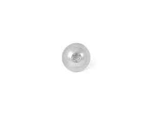 Torx Head Screw
