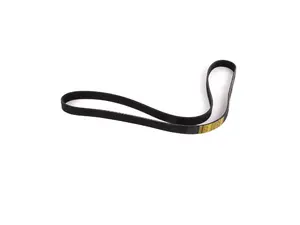 Accessory Belt