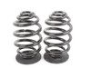 ES#59055 - 33539065357 - Rear Coil Springs - Replace your cracked springs - Genuine BMW - BMW