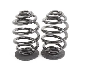 Rear Coil Springs