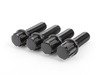 ES#2952352 - 003901ECS3845BB - Ball Seat Locking Wheel Bolt Kit - (NO LONGER AVAILABLE) - Black zinc coated wheel lock bolts made specifically for ECS Flush kits. M14x1.5x38mm/M14x1.5x45mm - ECS - 