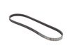 ES#2800753 - 64557793608 - A/C Belt - Drives the air conditioning compressor - Continental - BMW