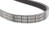 ES#2800753 - 64557793608 - A/C Belt - Drives the air conditioning compressor - Continental - BMW