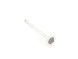 Exhaust Valve - Priced Each