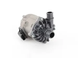 Auxiliary Water Pump