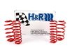 ES#1303370 - 29751-2 - Sport Springs - Set - Unrivaled comfort and performance.  Average lowering of 1.4"F 1.3"R - H&R - Audi