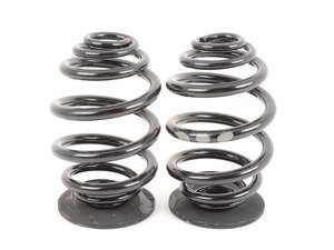 ES#59057 - 33539065365 - Rear Coil Springs - Replace your cracked springs - Genuine BMW - BMW