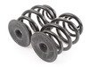 ES#59057 - 33539065365 - Rear Coil Springs - Replace your cracked springs - Genuine BMW - BMW